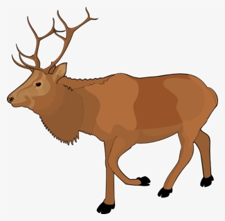 Standing Moose Clipart Png Image - Elk Clipart, Transparent Png, Free Download