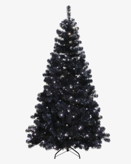Christmas Tree W Led Ottawa - Black Christmas Tree Undecorated, HD Png Download, Free Download