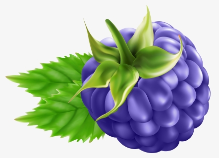Blackberry Transparent Png Clip Art - Blackberry Fruit Png Clipart, Png Download, Free Download