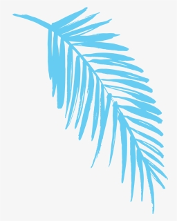 2019 Light Blue Fern Leaf - Transparent Fern Clip Art, HD Png Download, Free Download