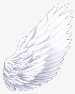 #wings #wing #angelwings #angel #aesthetic #aesthetictumblr - Hero Tail ...
