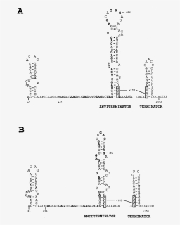 Diagram, HD Png Download, Free Download