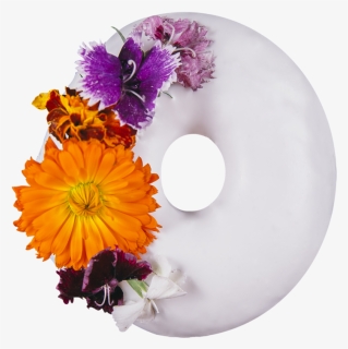 Transparent Vanilla Flower Png - Barberton Daisy, Png Download, Free Download