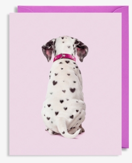 Pink Dalmatian, HD Png Download, Free Download