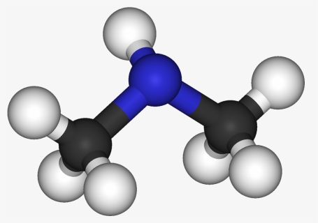 Transparent Molecules Png - Dimethylamine 3d Structure, Png Download, Free Download