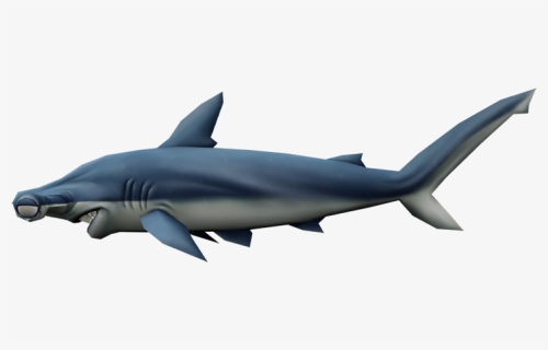Download Zip Archive - Great White Shark, HD Png Download, Free Download