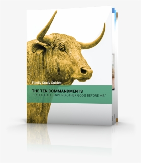 The First Commandment - Bull, HD Png Download, Free Download
