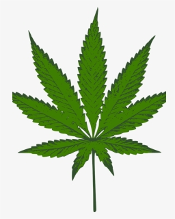 Medical Marijuana Is Legal In Arizona - Gambar Kartun Daun Ganja, HD Png Download, Free Download