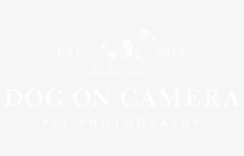 Logo - Johns Hopkins Logo White, HD Png Download, Free Download