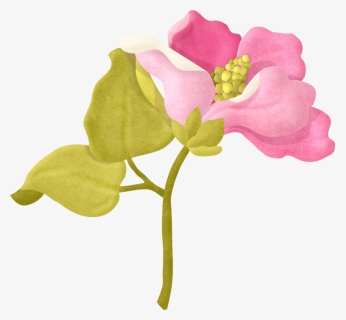 Bougainvillea Drawing Flower Transparent Png Clipart - Album From Laughter To Memories, Png Download, Free Download