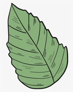 Hibiscus Leaf Clipart, HD Png Download, Free Download