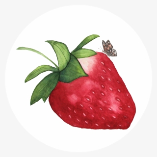 My Giant Strawberry, Strawberry Illustration, Butterfly, - Watercolor Strawberry Transparent Background, HD Png Download, Free Download