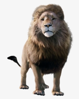 Liop - Aslan Narnia, HD Png Download, Free Download