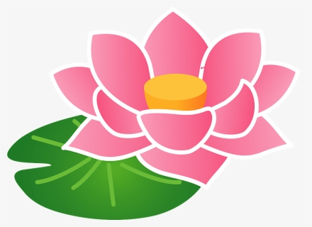 Lotus Flower Clipart - Lotus Family, HD Png Download, Free Download
