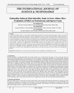 Document, HD Png Download, Free Download