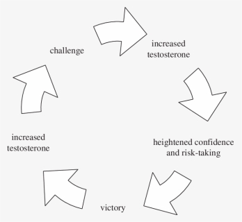 Schematic Representation Of A Winner Effect Mediated - Problem Solving, HD Png Download, Free Download