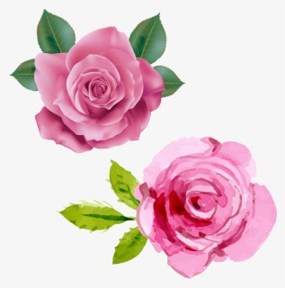 Pink Rose Transparent Png Clipart, Png Download, Free Download