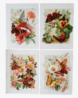 Bouquet, HD Png Download, Free Download