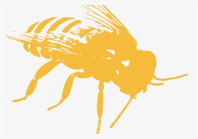 Parasite Png, Transparent Png, Free Download