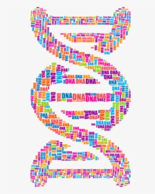 Dna Word Cloud, HD Png Download, Free Download