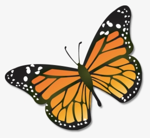 Chrysalis Cliparts - Monarch Butterfly Clipart, HD Png Download, Free Download