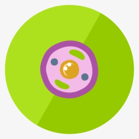 The Animal Cell - Animal Cell Icon Png, Transparent Png, Free Download