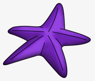 Ampliar Esta Imagen - Estrella De Mar Sirenita, HD Png Download, Free Download