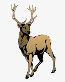 Animal 6 Clipart - Reindeer Clipart, HD Png Download, Free Download