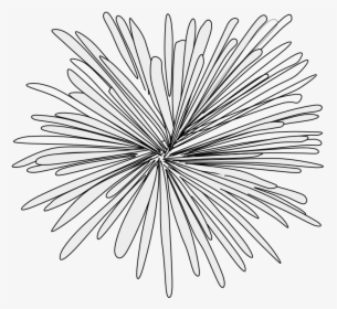 Transparent White Fireworks Png - Line Art, Png Download, Free Download