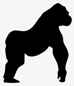 Mountain Gorilla Horse Wall Decal - Silhouette Of A Horse Head, HD Png Download, Free Download