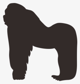 Gorilla Orangutan Silhouette - Orangutan Silhouette, HD Png Download, Free Download