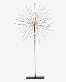 Table Decoration Firework - White Pine, HD Png Download, Free Download