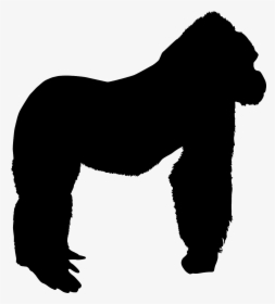 Free Gorilla Silhouette, HD Png Download, Free Download