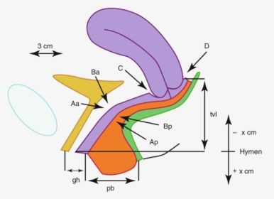 Hymen Plane, HD Png Download, Free Download