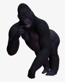 Gorilla Png Image - Gorilla Sitting Transparent Background, Png Download, Free Download