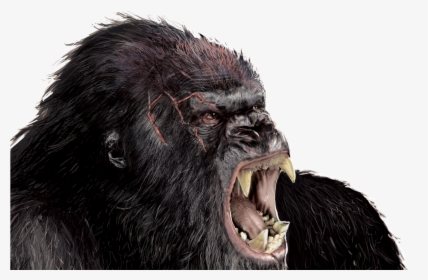 Gorilla Png Transparent Image - King Kong Png Hd, Png Download, Free Download