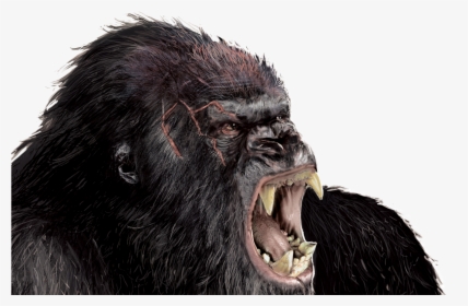 Transparent King Kong Clipart Gorilla Clipart Hd Png Download Kindpng