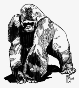 Tattoo Gorilla Western Groovanometry Phaeleh Drawing - Small Gorilla Tattoo, HD Png Download, Free Download