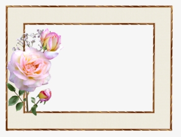 Frame, Gold Edge, Pink Rose, Decoration - Gold And Pink Frame, HD Png Download, Free Download