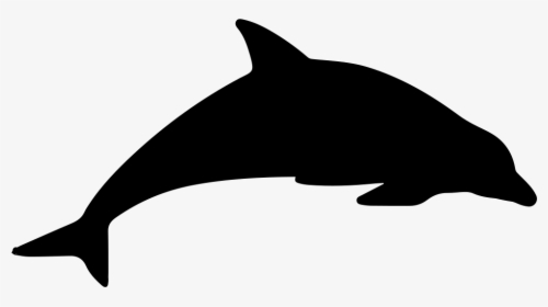 Dolphin Mammal Animal Silhouette - Animal Silhouette Dolphin, HD Png Download, Free Download
