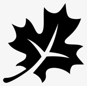 Autumn Png Black And White Pluspng - Fall Leaf Black And White, Transparent Png, Free Download