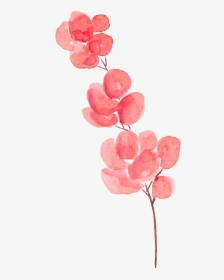 Petal Flower Watercolor Painting - Transparent Background Watercolor Flower Png, Png Download, Free Download