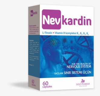 Nevkardin-n60 - Flyer, HD Png Download, Free Download