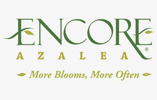 All Encore Azaleas Have Beautiful Flowers, I Have Always - Encore Azaleas Logo, HD Png Download, Free Download