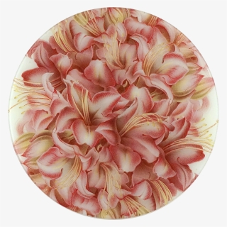 Azalea Rustique De Gand Alex Hardy - Artificial Flower, HD Png Download, Free Download