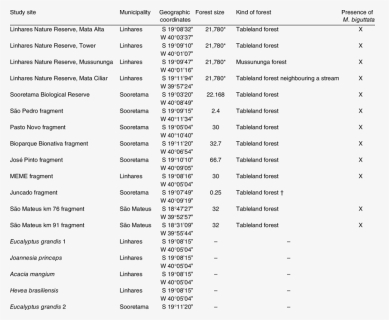 Document, HD Png Download, Free Download