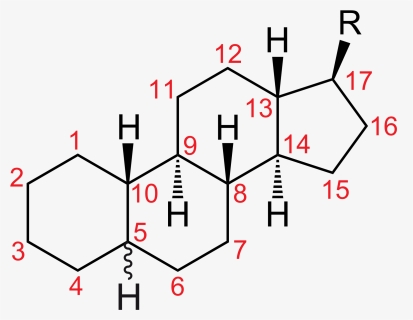 Thumb Image - Estrogen Structure With Numbering, HD Png Download, Free Download