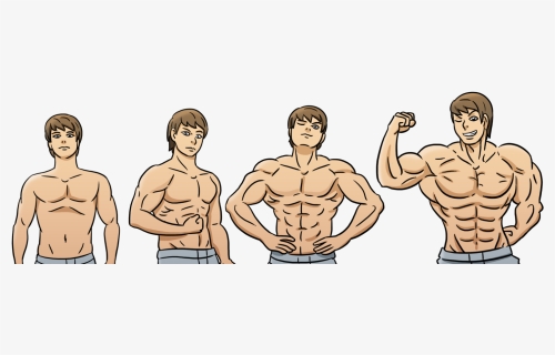 Steroids Before And After Cartoon , Png Download - Big Biceps Workout, Transparent Png, Free Download