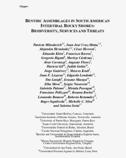 Document, HD Png Download, Free Download