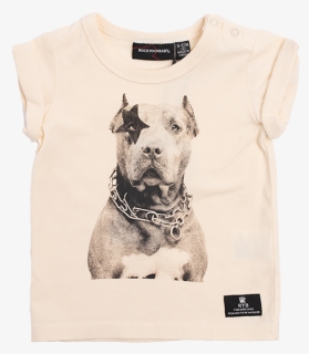 Ryb S19 *drop 1* - American Pit Bull Terrier, HD Png Download, Free Download